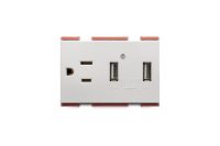 Combination 2 Gang USB 72MM + Outlet 2P+E