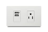 Combination 1 USB Port + 1 Outlet American 2P+E
