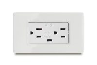 2 Gang Smart American Outlet 2P+E