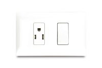 Mixto 1 Interruptor No Neon + 1 Tomacorriente Amer 2P+E